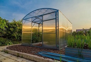 Парники — Прямостенные теплицы — фото