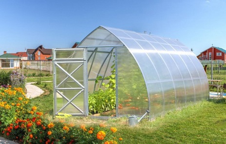 Самые популярные модели теплиц в 2025 году — Стрелка-3 ЛЮКС (ВОЛЯ) — фото