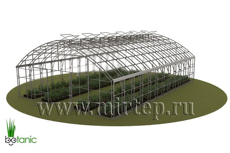 Фермерские теплицы — Фермерские теплицы - Ботаник (БЕЛАРУСЬ) — фото