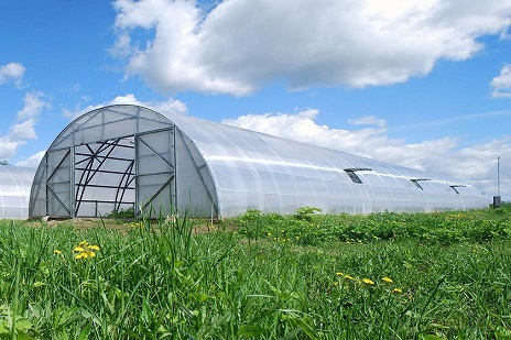 Фермерские теплицы ВОЛЯ — Промышленная теплица Воля Фермер - 7,5 — фото